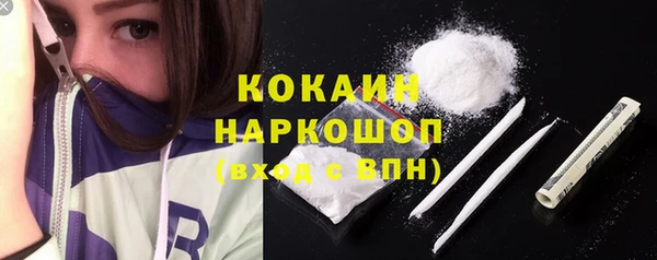 прущие грибы Каменка