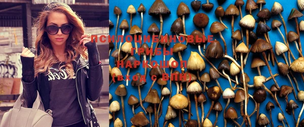 соль ск Киренск