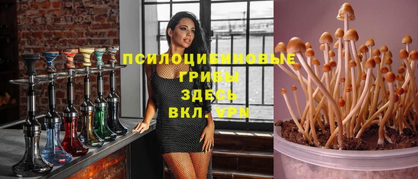 тгк Каменск-Шахтинский