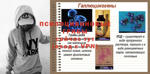 гашик Кинешма