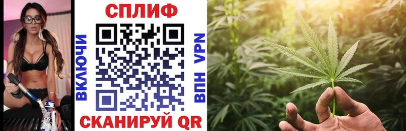 Конопля MAZAR  Узловая 